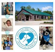 Innovetive Petcare Logo